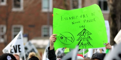 47097572_2018179988204917_4192314313450455040_n