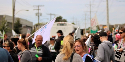 41545324_1913806388642278_4458282839019880448_n